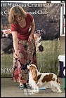 АZARTIS DEVONSHIRE CREAM exc3.jpg
